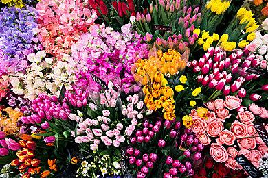 为了拯救《龙与地下城》 马斯克或收购孩之宝